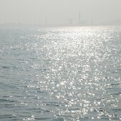 img_0014