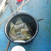 img_0017