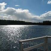img_0005