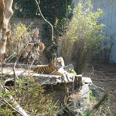 img_0007