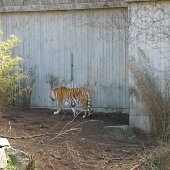 img_0008