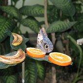 img_0012
