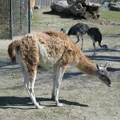 img_0013