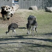 img_0014