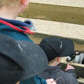 img_0017