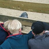 img_0018