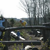 img_0007