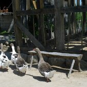 img_0012