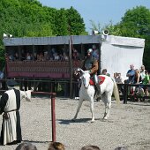 img_0020