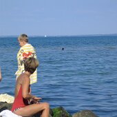 img_0008