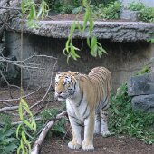 img_0011