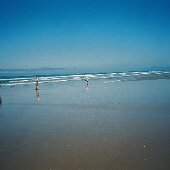 img_0007