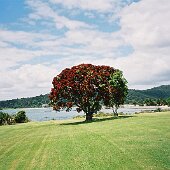 img_0012