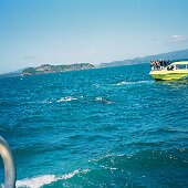 img_0019