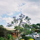 img_0020