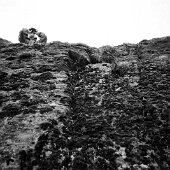img_0005