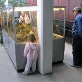img_0005