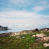 img_0005