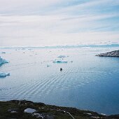 img_0010
