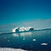 img_0011
