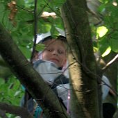 img_0006