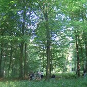 img_0011