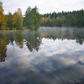 img_0003