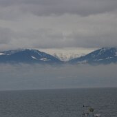 img_0005