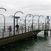 img_0008