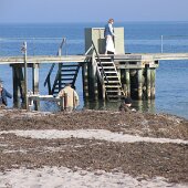 img_0002