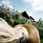 img_0026