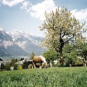 img_0097