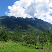 img_0007