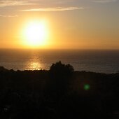 img_0001