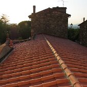 img_0011