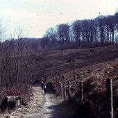 img_1049
