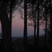 img_1153