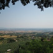 img_1164