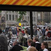img_0241