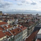 img_0551