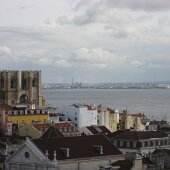 img_0557