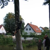 IMG_0008