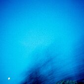 img_0003