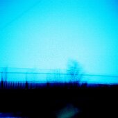 img_0144