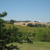 img_1707