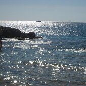 img_1107