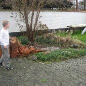img_1136