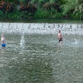 img00311