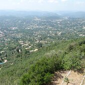 img00009