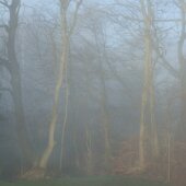 dscf0783